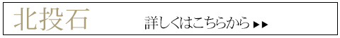 健康石 北投石 癌 健康 パワーストーン　詳細