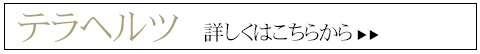 健康石 テラヘルツ 癌 健康 パワーストーン　詳細